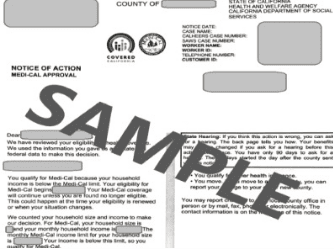 Sample Notice of Action